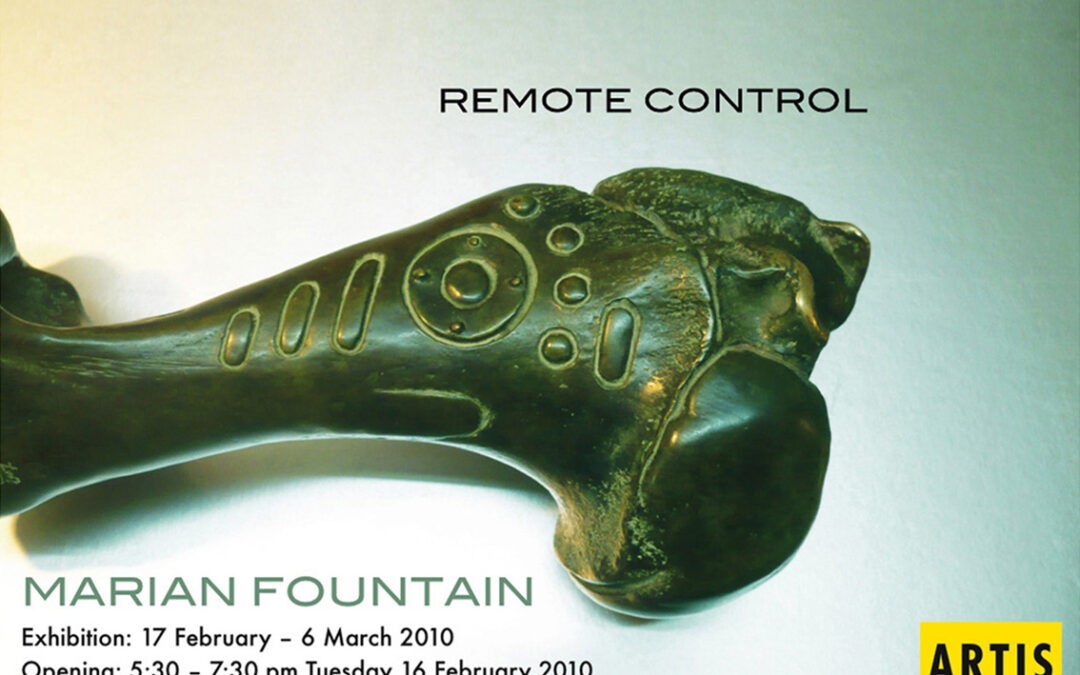 2010 REMOTE CONTROL